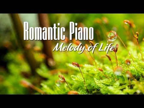 Romantic Piano - Nhạc Piano Không Lời Lãng Mạn Hay Nhất Thế Giới