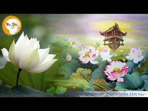 Nhạc Thiền Tĩnh Tâm - Hoa Sen Nước Chảy (Tuyệt Hay Và Thư Giãn)