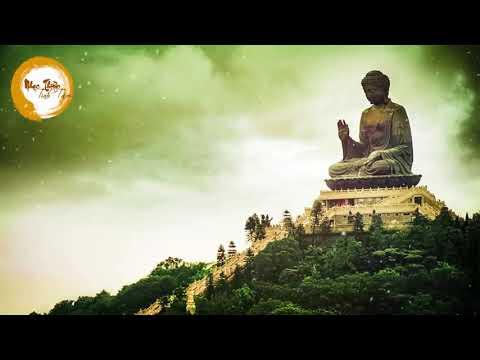 Nhạc Thiền Phật Giáo Nên Nghe Để Bình An Tâm Hồn - Nhạc Thiền Tịnh Tâm