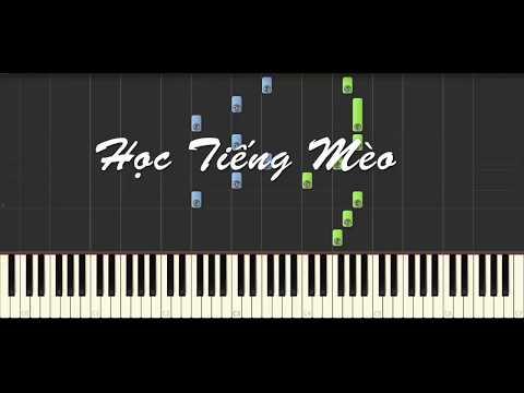 Học Tiếng Mèo Piano Cover - Tiểu Phan Phan & Tiểu Phong Phong