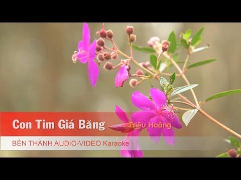 KARAOKE | Con Tim Băng Giá - Triệu Hoàng | Nhạc Trẻ Không Lời