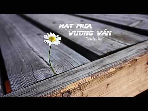 Hạt mưa vương vấn - Phan Duy Anh - Karaoke ( Beat chuẩn tone nữ )