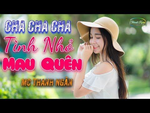 LK Cha Cha Cha Tình Nhỏ Mau Quên - Tuyệt Đỉnh Nhạc Sống Có Lời Chất Lượng Cao Hay Không Chịu Nổi