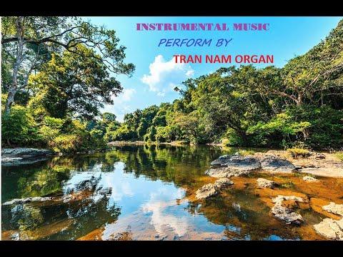 Nhac Khong Loi  -  VOL 19   (Tran Nam Organ)