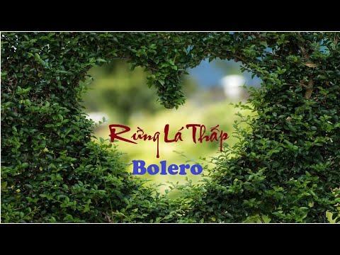 BOLERO - Rừng Lá Thấp - Chuyến Đi Về Sáng - Nhạc Không Lời