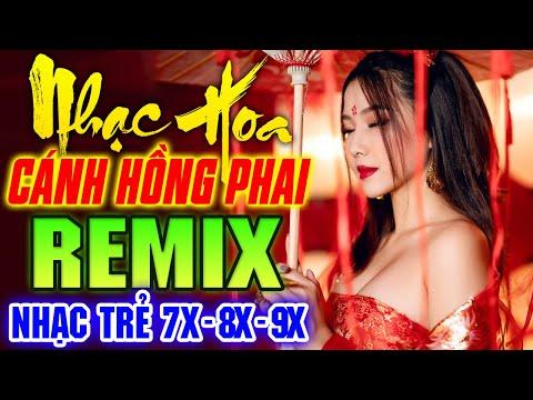 LK Cánh Hồng Phai, Dáng Em Remix - Liên Khúc Nhạc Hoa Lời Việt Remix NỔI TIẾNG THỜI 7X 8X 9X