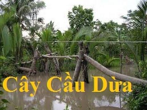 Cây Cầu Dừa Remix Sôi Động Full HD - nghe là nghiện