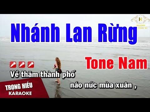 Karaoke Nhánh Lan Rừng Tone Nam Nhạc Sống | Trọng Hiếu