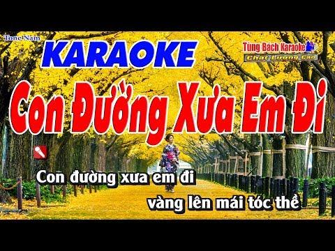 Con Đường Xưa Em Đi Karaoke 123 HD (Tone Nam) - Nhạc Sống Tùng Bách
