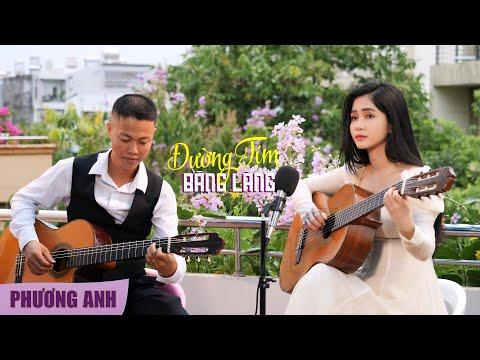 Đường Tím Bằng Lăng - Phương Anh (Guitar Cover)