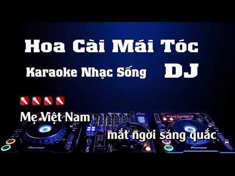 Hoa Cài Mái Tóc Karaoke Nhạc Sống Remix