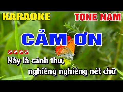 Karaoke Cảm Ơn Tone Nam Nhạc Sống | Nguyễn Linh