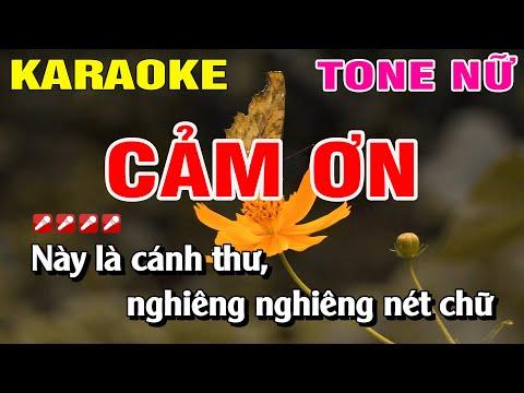 Karaoke Cảm Ơn Tone Nữ Nhạc Sống | Nguyễn Linh