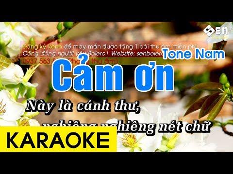 Cảm Ơn Karaoke Beat - Tone Nam
