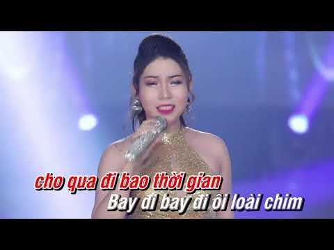 Karaoke | Tình Nhạt Phai - Hải Vy | Tone Nữ