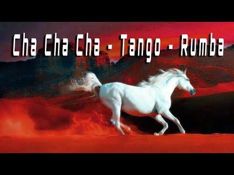 Cha Cha Cha | Tango | Rumba | Mambo 2020 - Best Relaxing Instrumental Music