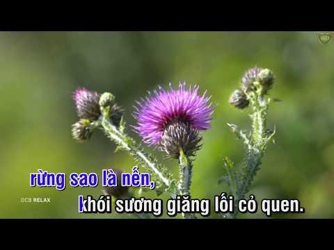 Bông cỏ may - Trường Vũ (có lời bài hát) | Hoàng Dân Official