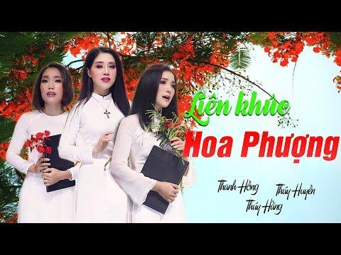 Liên Khúc Hoa Phượng | Siêu Phẩm Bolero Ba Chị Em - Thúy Huyền, Thúy Hằng, Thanh Hồng [Official MV]