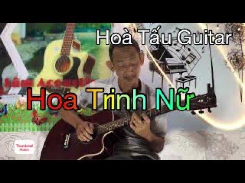 HOA TRINH NỮ [ St Trần Thiện Thanh ] Hòa tấu Guitar Linh Già - Cái tình Bolero là đây