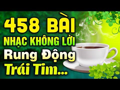 Nhạc Không Lời Guitar Tỉa Nghe Nổi Da Gà, Nhạc Phòng Trà Chất Âm Trong Vắt, Nhạc Buổi Sáng Thư Giãn