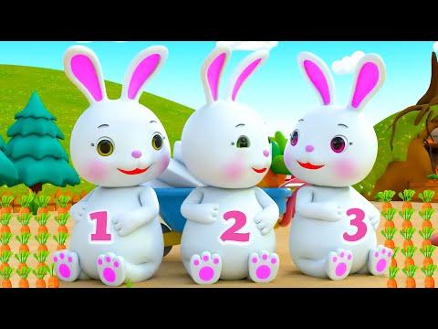 Chú Thỏ Con Remix - Nhạc Thiếu Nhi Sôi Động - Nhạc Thiếu Nhi Con Thỏ, Con Ếch Màu Sắc