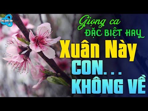 Bolero Tuyển Chọn Mới 2025 - Xuân Này Con Không Về - Nhạc Vàng Xưa Đặc Biệt Hay I Nhạc Hay Ngủ Say