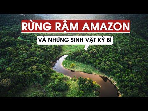 RỪNG RẬM AMAZON VÀ NHỮNG SINH VẬT KỲ BÍ THÁCH THỨC CON NGƯỜI KHÁM PHÁ | ĐỊA LÝ KỲ THÚ #8